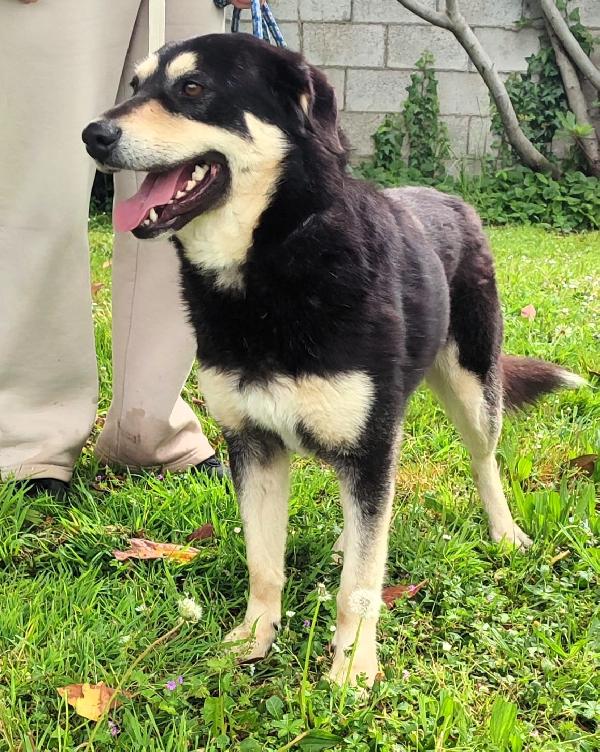 FULVIO CERCA CASA Foto 2